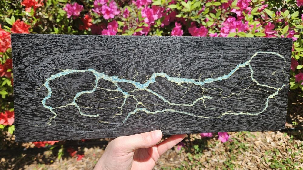 Fractal Wood Burning